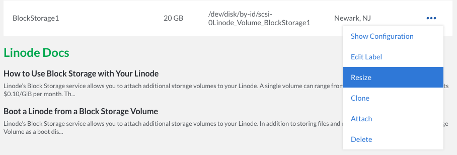 Select Resize from the Volume menu